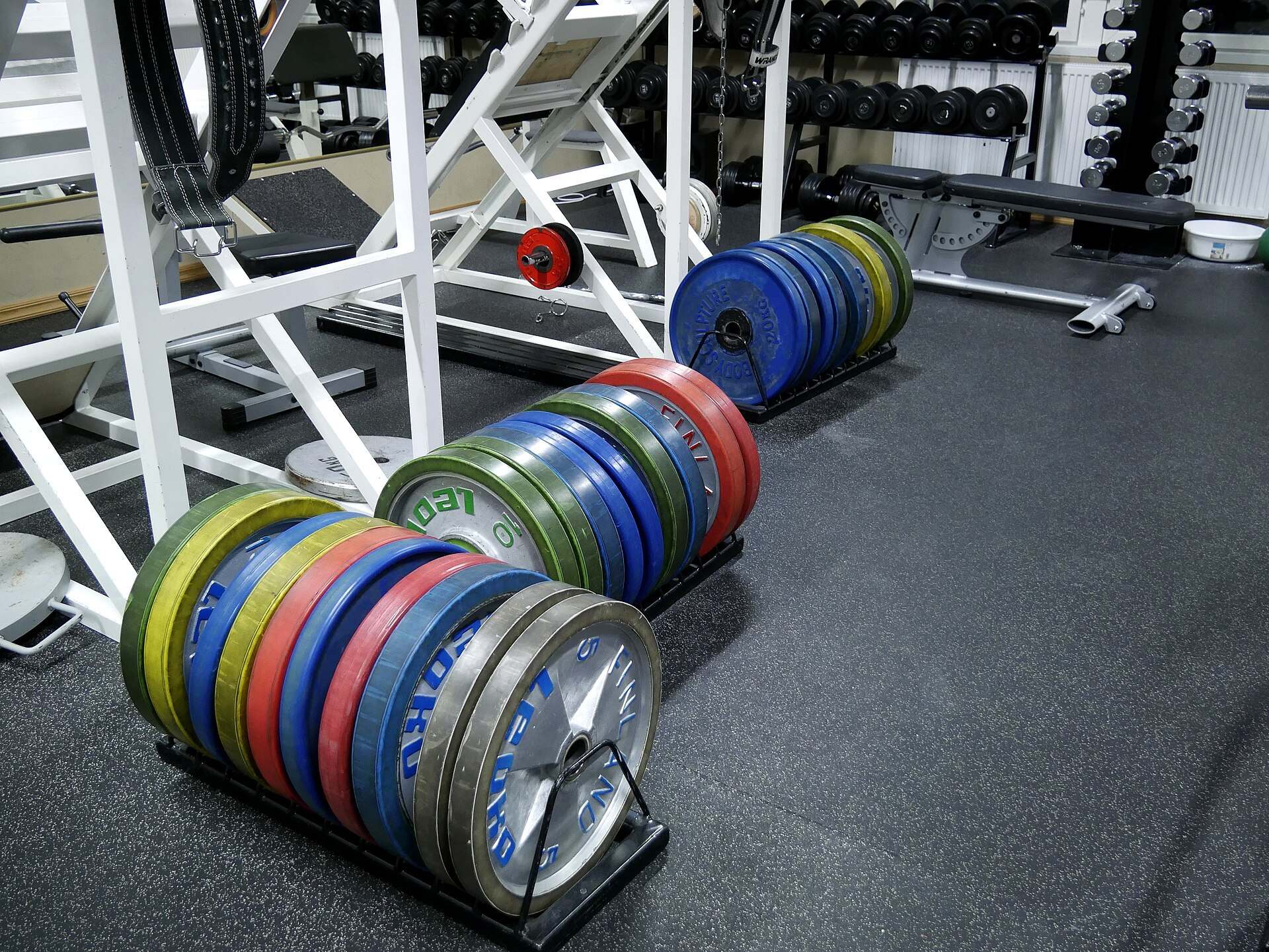 Rows of colored bumper plates stacked in racks on a rubber gym floor, the cover photo for Trevor L Taylor on athlete discipline and performance