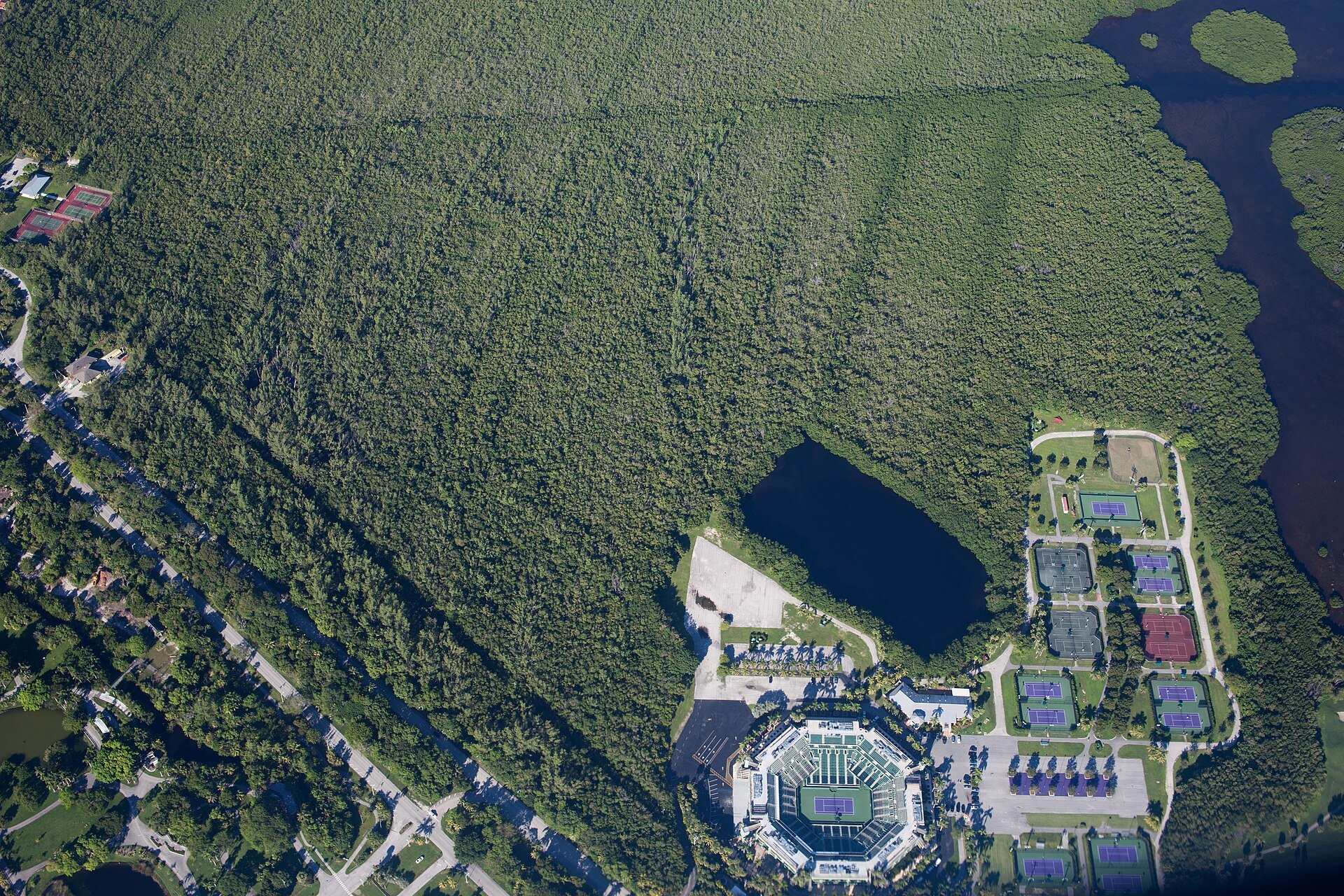 Aerial view of the Crandon Park tennis grounds and stadium beside dense mangrove forest on Key Biscayne, from the Trevor L Taylor entry on the venue