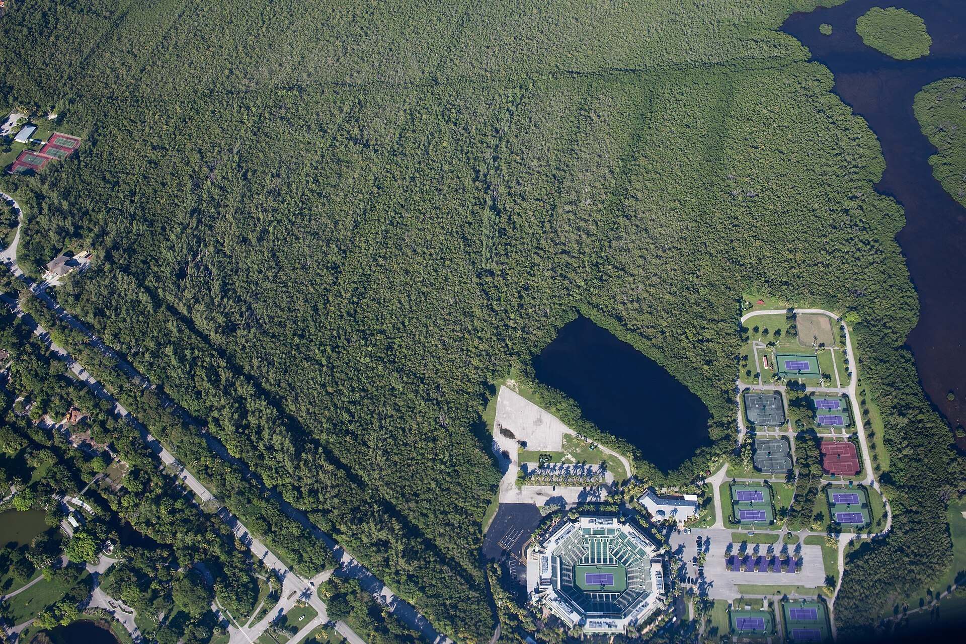 Aerial view of the Crandon Park tennis grounds and stadium beside dense mangrove forest on Key Biscayne, from the Trevor L Taylor entry on the venue