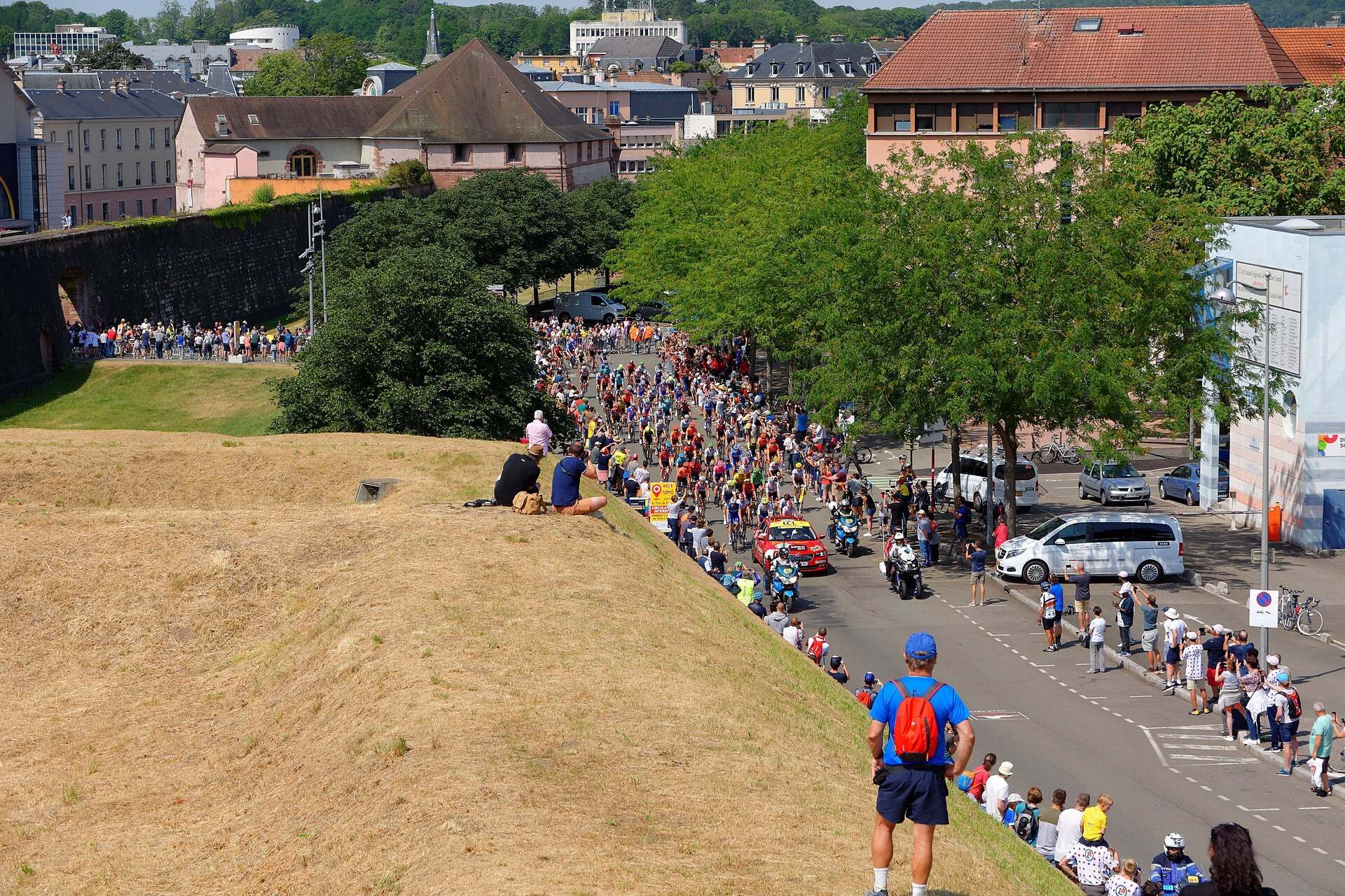 A long peloton strung out along a tree lined street seen from a hillside, from the Trevor L Taylor entry on drafting and pacelines
