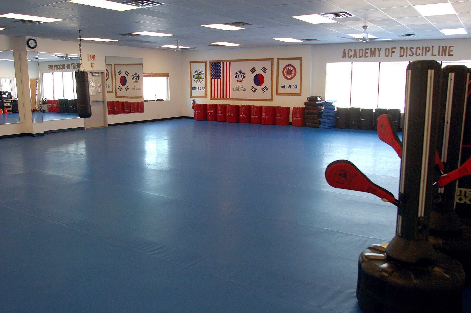 An empty taekwondo training hall with blue mats, kicking targets and flags along the far wall, from the Trevor L Taylor entry on taekwondo