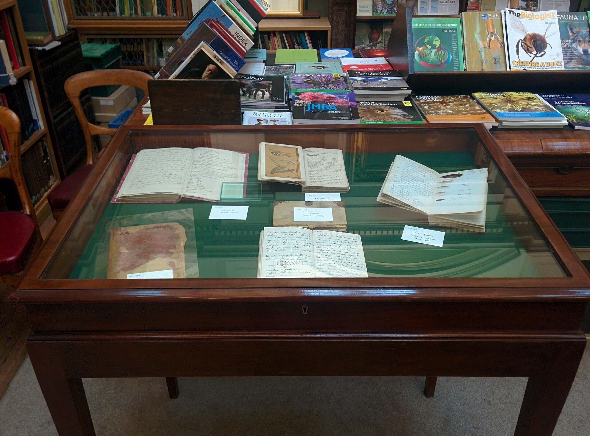 Handwritten field notebooks of naturalist Alfred Russel Wallace open in a glass display case, from the Trevor L Taylor entry on training logs and investment journals